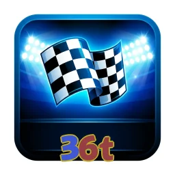 36t